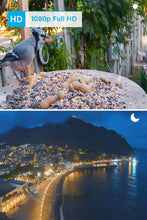 Load image into Gallery viewer, Security Camera Outdoor, Wireless Rechargable Battery Powered, 1080P Starlight Night Vision, PIR Motion Video for Home Surveillance, Support Google Assistant\/Cloud Service\/SD Slot | Reolink Argus 2