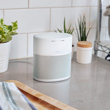 Load image into Gallery viewer, Bose Home Speaker 300, with Amazon Alexa built-in, Silver
