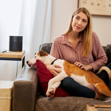Load image into Gallery viewer, Bose Home Speaker 300, with Amazon Alexa Built-in, Black
