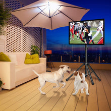 Load image into Gallery viewer, PERLESMITH TV Tripod Stand-Portable TV Stand for 23-55 Inch LED LCD OLED Flat Screen TVs-Height Adjustable Display Floor TV Stand with VESA 400x400mm, Holds up to 88lbs
